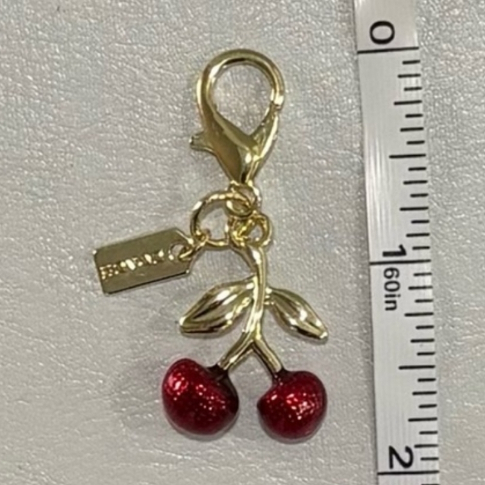 Bundle Of Coach Charms